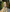 Barely Barefoot Stonepass Alltagsschuhe – Braunes Leder